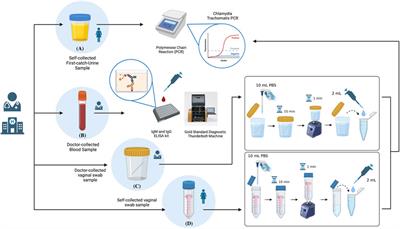 A pilot clinical validation study of a self-collected vaginal swab device for the detection of chlamydia trachomatis in women